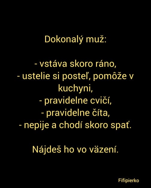 Dokonalý muž